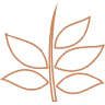 Artesanato do Aroma
