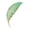 Arte Verde Naturkosmetik