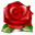 Art Floral Designs