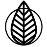 artiplanto decorations