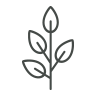 Artist à Fleurs
