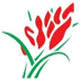 Art Plantas - Floricultura