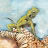 Art Prints Australia