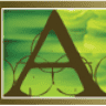 Arts Place Inc