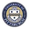 University of Pittsburgh Kenneth P. Dietrich School of Arts and Sciences