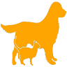 Asahi Animal Clinic