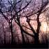 Asheville Fine Art Printing