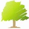 Ashley Timber Ltd