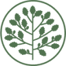 The Olive Tree