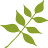 Ashwood Waldorf School