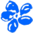 Asociația MYOSOTIS România - Centrul de Sănătate Myosotis