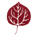 Aspen Exterior Company