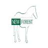 Association Française du Poney New Forest