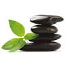 A Step At A Time Therapies
