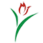 Asian Tulip Warehouse