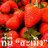 แอดสะเมิง ออร์แกนิคฟาร์ม | At Samoeng Organic Farm