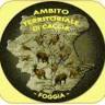 Atc E Provincia Provinciale Foggia