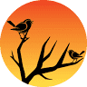 Atlantic Rest Natural Burial