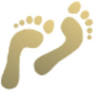 Atlantic Foot & Ankle Specialists: Newsom Todd C DPM