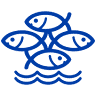 Atlantik Fish, Lda.