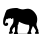 Atölye Norte