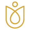 Attic Angel Community