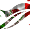 ATV Ensenada Tours