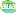 aua records di Laura Pozzati