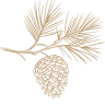 Coeur Des Landes