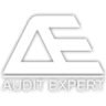 Audit Expert