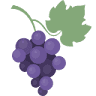 Cave au gré du vin Blois