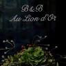 Bed & Breakfast Au Lion d'Or