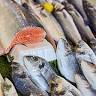 Au poisson dans l eau