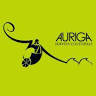 Auriga serveis culturals