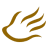 Aurum