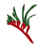 Austplant Nursery & Gardens