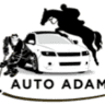 Auto Adam