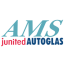 Autoglas-Mobil-Service