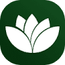 Auto Lotus