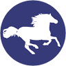 Autoskola Stars