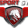 AD Garage Auto Sport System