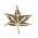 Autumn Electric Co Inc