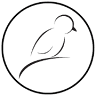 avi-complete GbR