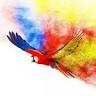 Avian & Exotic Animal Medical Center