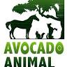 Avocado Animal Hospital