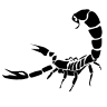 wash Scorpio