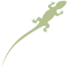 Awasi Iguazú
