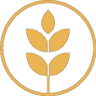 AW Vater & Co Grain Trading