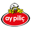 Ay Pilic