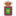 Carreño